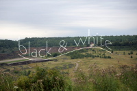 Erdrutsch in Nachterstedt